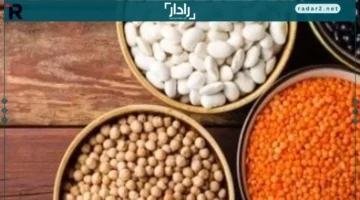 أسعار الفول البلدي وباقي البقوليات في كفر الشيخ الأحد 21 ديسمبر 2025